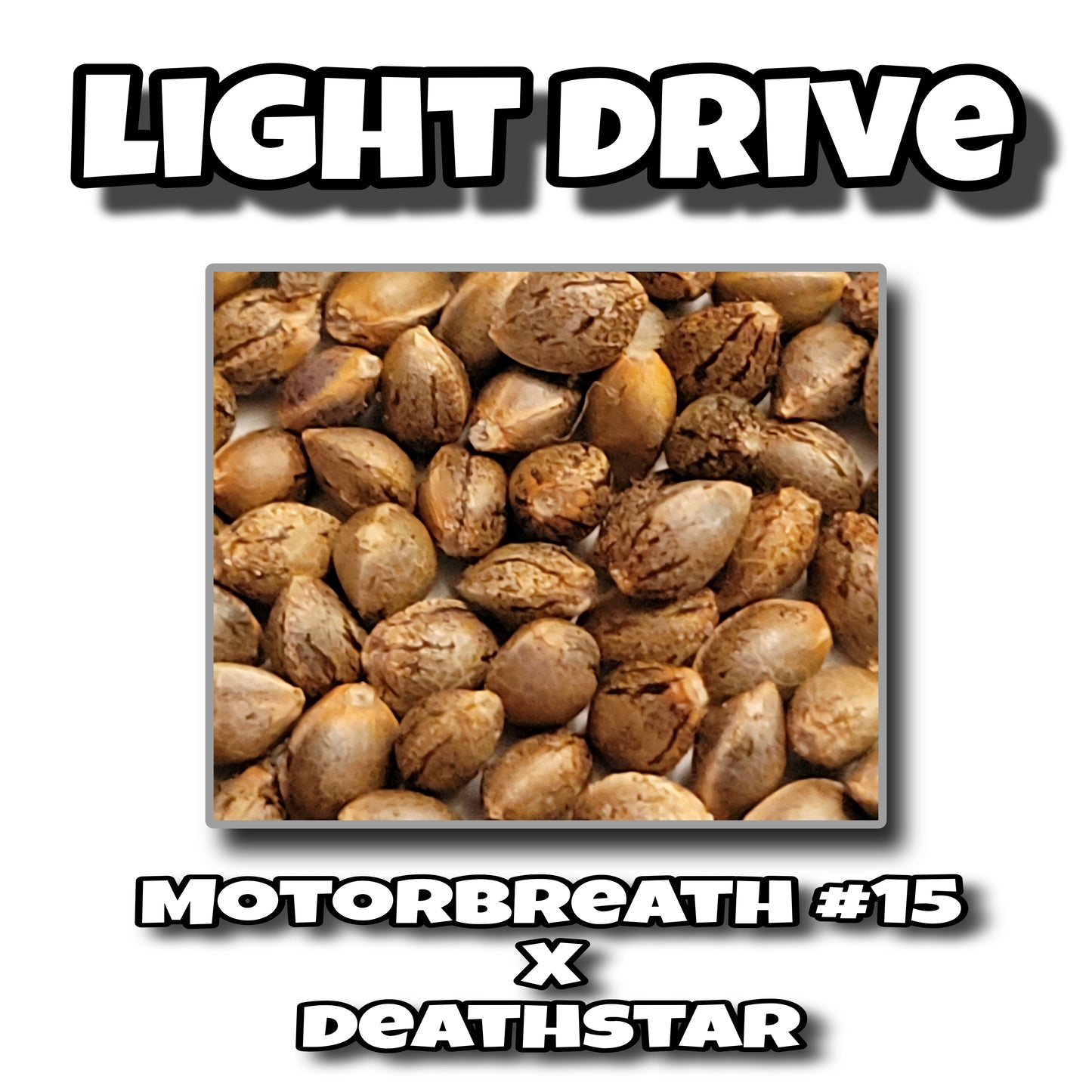 LIGHT DRIVE - QUETZALCOATL GENETICS