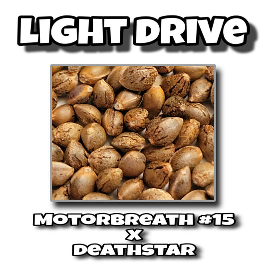 LIGHT DRIVE - QUETZALCOATL GENETICS