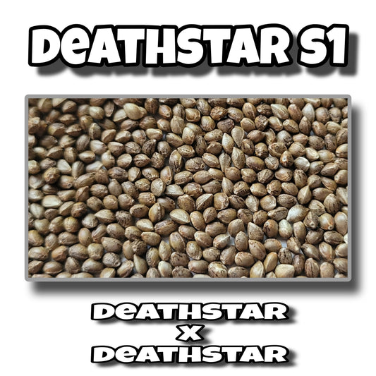 DEATHSTAR S1 - QUETZALCOATL GENETICS